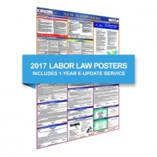 New Hampshire All-In-One Poster + 1 Year E-Update Service