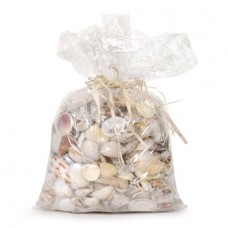 Floral Seashell Assorted Bag 2 Kiligrams