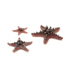Starfish Set pink 3